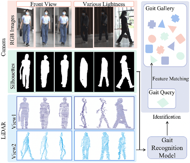 Figure 1 for LiCamGait: Gait Recognition in the Wild by Using LiDAR and Camera Multi-modal Visual Sensors