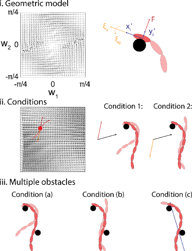 Figure 4 for Gait design for limbless obstacle aided locomotion using geometric mechanics