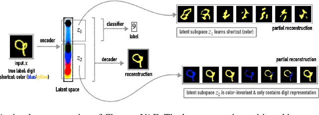 Figure 1 for Chroma-VAE: Mitigating Shortcut Learning with Generative Classifiers