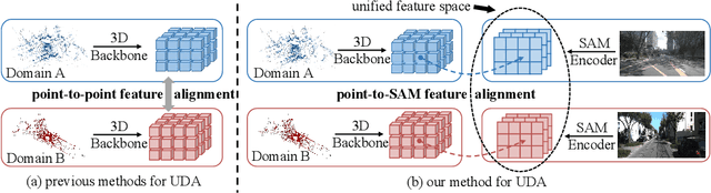 Figure 1 for SAM-guided Unsupervised Domain Adaptation for 3D Segmentation