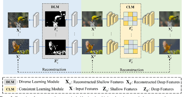 Figure 3 for Asymmetric double-winged multi-view clustering network for exploring Diverse and Consistent Information