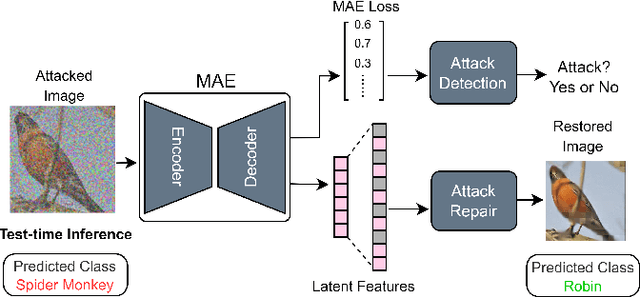 Figure 1 for Test-time Detection and Repair of Adversarial Samples via Masked Autoencoder