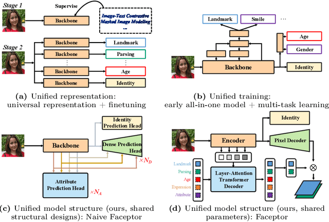 Figure 1 for Faceptor: A Generalist Model for Face Perception
