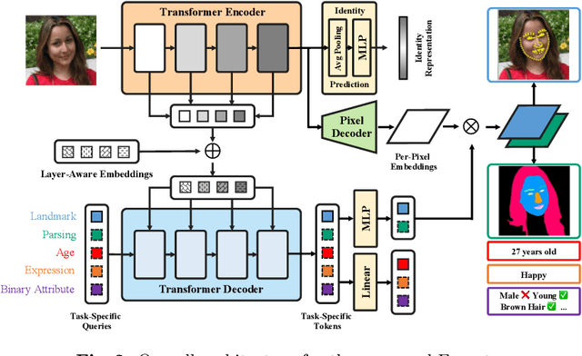 Figure 3 for Faceptor: A Generalist Model for Face Perception