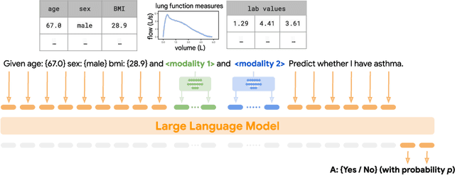 Figure 1 for Multimodal LLMs for health grounded in individual-specific data