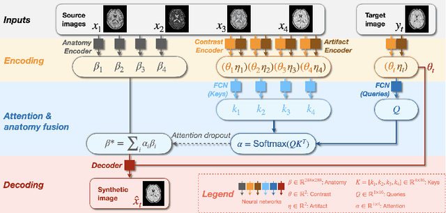 Figure 1 for HACA3: A Unified Approach for Multi-site MR Image Harmonization