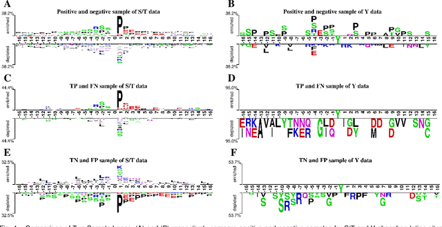 Figure 4 for PTransIPs: Identification of phosphorylation sites based on protein pretrained language model and Transformer
