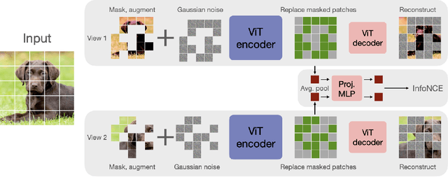 Figure 2 for A simple, efficient and scalable contrastive masked autoencoder for learning visual representations