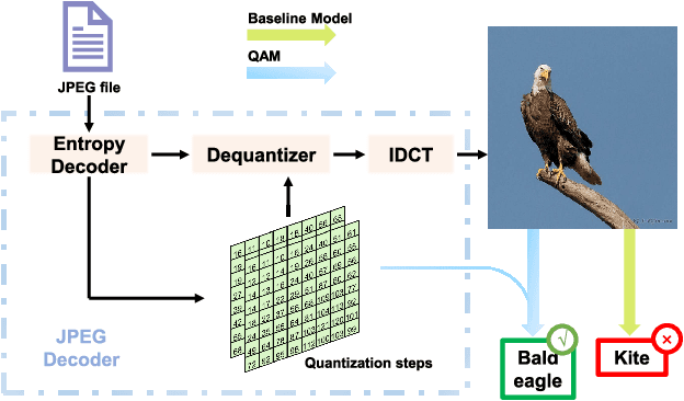 Figure 1 for Picking Up Quantization Steps for Compressed Image Classification