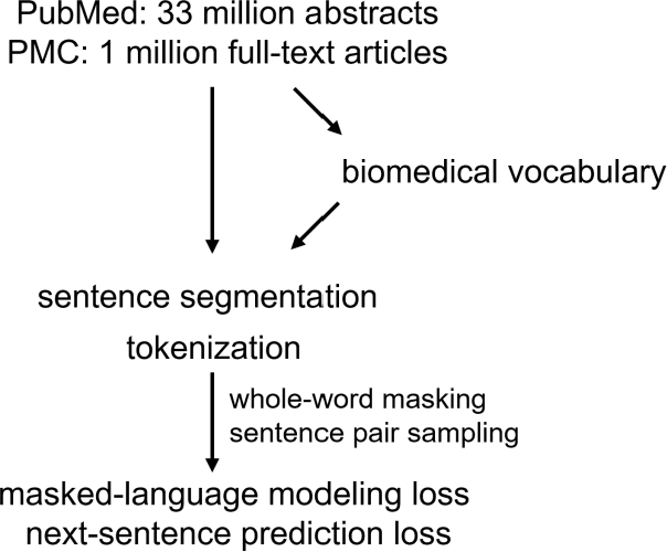Figure 1 for Bioformer: an efficient transformer language model for biomedical text mining