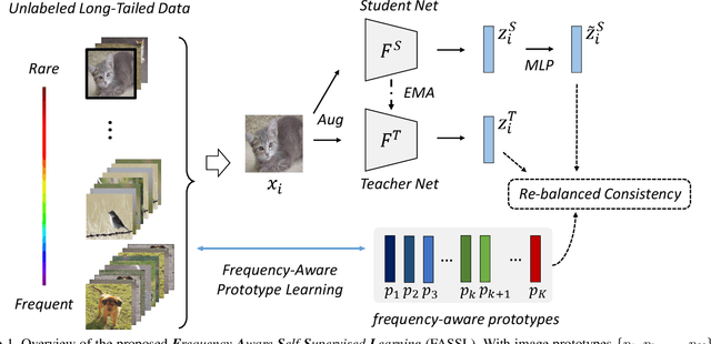 Figure 1 for Frequency-Aware Self-Supervised Long-Tailed Learning