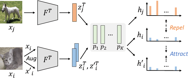 Figure 3 for Frequency-Aware Self-Supervised Long-Tailed Learning