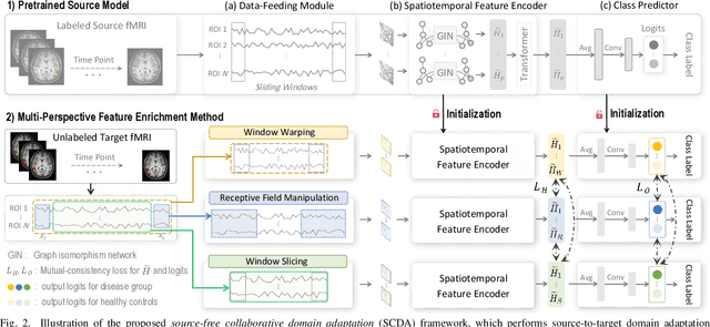 Figure 2 for Source-Free Collaborative Domain Adaptation via Multi-Perspective Feature Enrichment for Functional MRI Analysis