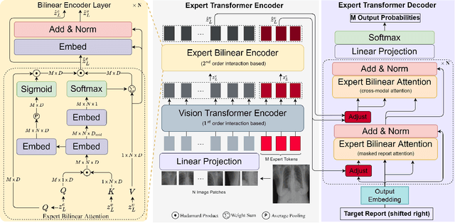 Figure 1 for METransformer: Radiology Report Generation by Transformer with Multiple Learnable Expert Tokens