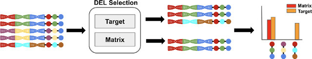 Figure 1 for Compositional Deep Probabilistic Models of DNA Encoded Libraries