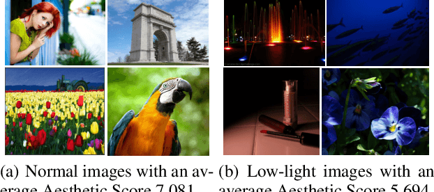 Figure 1 for ALL-E: Aesthetics-guided Low-light Image Enhancement