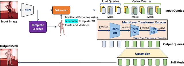 Figure 2 for MeshLeTemp: Leveraging the Learnable Vertex-Vertex Relationship to Generalize Human Pose and Mesh Reconstruction for In-the-Wild Scenes