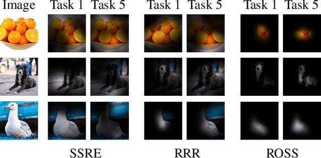 Figure 1 for Robust Saliency Guidance for Data-free Class Incremental Learning