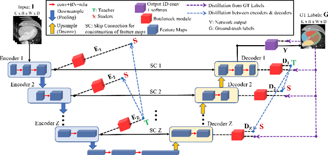 Figure 1 for Dual self-distillation of U-shaped networks for 3D medical image segmentation