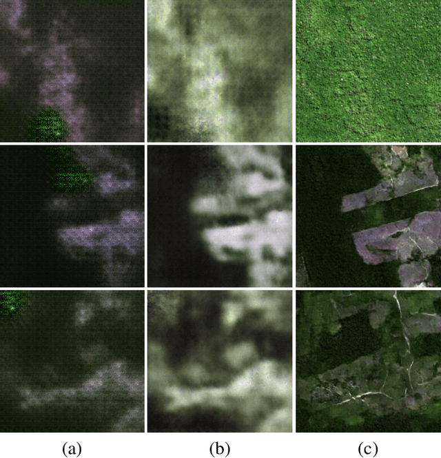 Figure 3 for 1st Place Solution to MultiEarth 2023 Challenge on Multimodal SAR-to-EO Image Translation