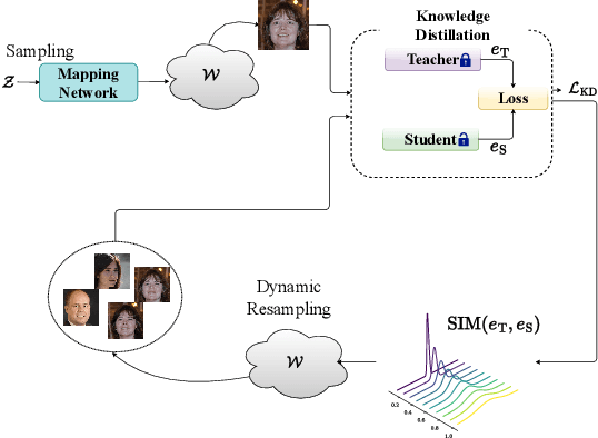 Figure 1 for SynthDistill: Face Recognition with Knowledge Distillation from Synthetic Data