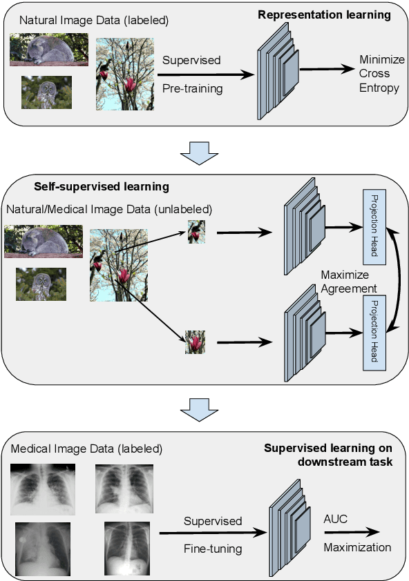Figure 1 for A Trustworthy Framework for Medical Image Analysis with Deep Learning