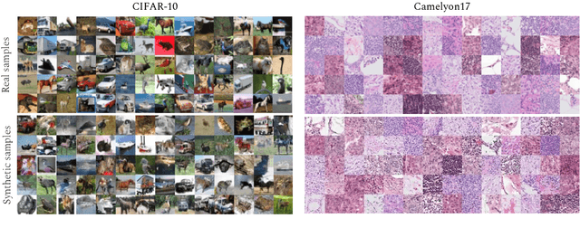 Figure 1 for Differentially Private Diffusion Models Generate Useful Synthetic Images