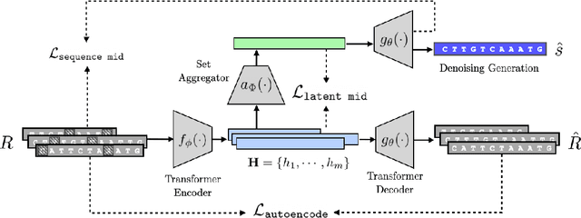 Figure 2 for Blind Biological Sequence Denoising with Self-Supervised Set Learning