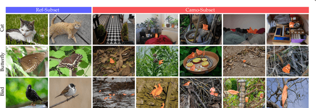 Figure 3 for Referring Camouflaged Object Detection