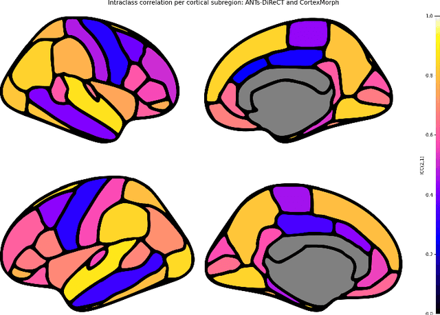 Figure 4 for CortexMorph: fast cortical thickness estimation via diffeomorphic registration using VoxelMorph