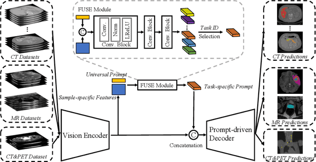 Figure 3 for UniSeg: A Prompt-driven Universal Segmentation Model as well as A Strong Representation Learner