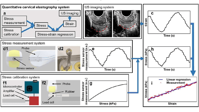 Figure 1 for Quantification of cervical elasticity during pregnancy based on transvaginal ultrasound imaging and stress measurement