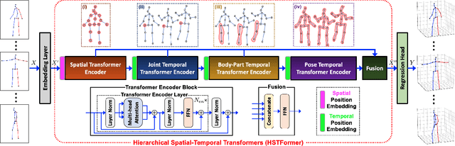 Figure 3 for HSTFormer: Hierarchical Spatial-Temporal Transformers for 3D Human Pose Estimation