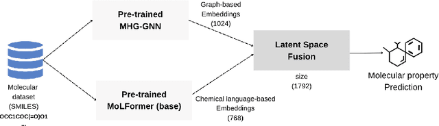 Figure 1 for Improving Molecular Properties Prediction Through Latent Space Fusion