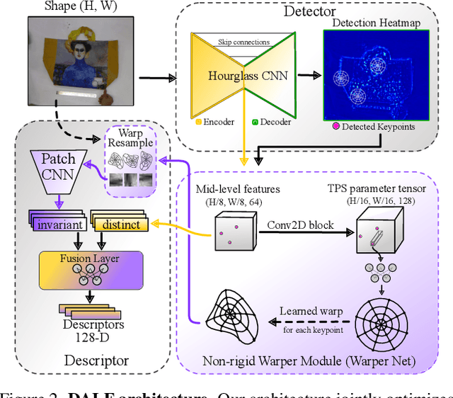 Figure 3 for Enhancing Deformable Local Features by Jointly Learning to Detect and Describe Keypoints