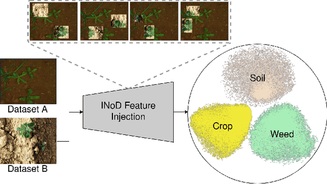 Figure 1 for INoD: Injected Noise Discriminator for Self-Supervised Representation Learning in Agricultural Fields