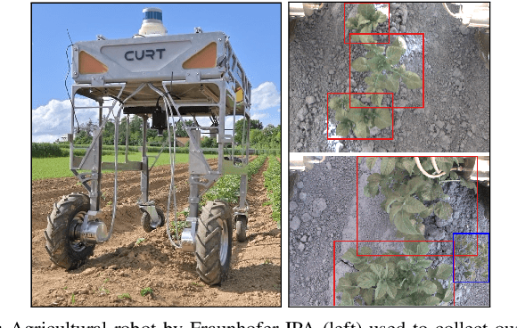 Figure 3 for INoD: Injected Noise Discriminator for Self-Supervised Representation Learning in Agricultural Fields