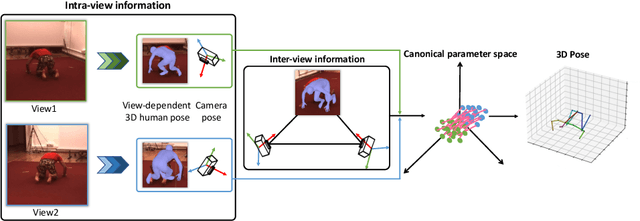 Figure 1 for Self-learning Canonical Space for Multi-view 3D Human Pose Estimation