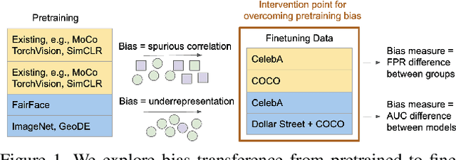 Figure 1 for Overcoming Bias in Pretrained Models by Manipulating the Finetuning Dataset