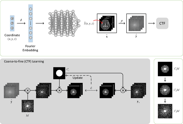 Figure 1 for Unsupervised Adaptive Implicit Neural Representation Learning for Scan-Specific MRI Reconstruction