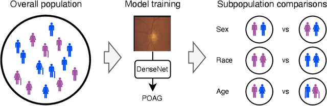 Figure 2 for Evaluate underdiagnosis and overdiagnosis bias of deep learning model on primary open-angle glaucoma diagnosis in under-served patient populations
