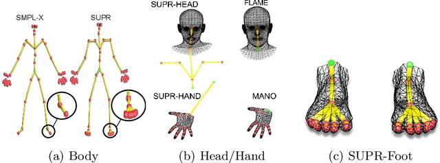 Figure 3 for SUPR: A Sparse Unified Part-Based Human Representation