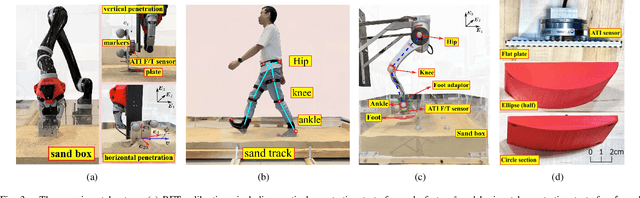Figure 3 for Foot Shape-Dependent Resistive Force Model for Bipedal Walkers on Granular Terrains