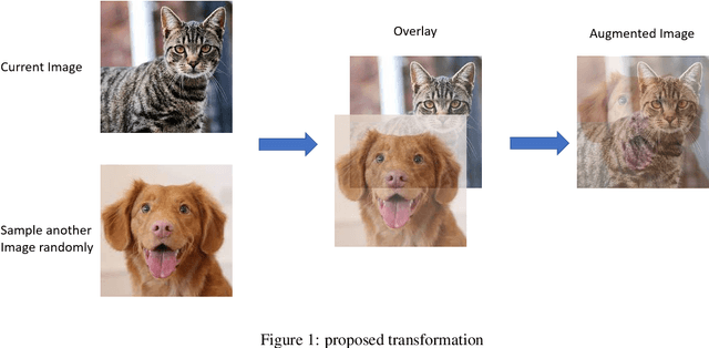 Figure 1 for Self-Supervised Image Representation Learning: Transcending Masking with Paired Image Overlay