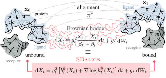 Figure 1 for Aligned Diffusion Schrödinger Bridges