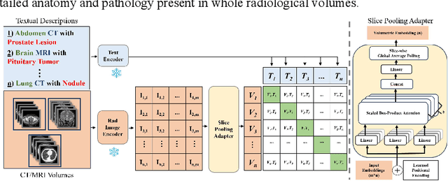 Figure 3 for RadCLIP: Enhancing Radiologic Image Analysis through Contrastive Language-Image Pre-training