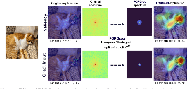Figure 1 for Gradient strikes back: How filtering out high frequencies improves explanations