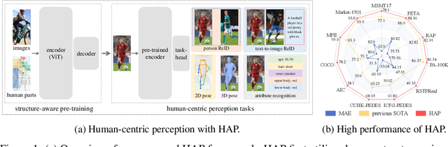Figure 1 for HAP: Structure-Aware Masked Image Modeling for Human-Centric Perception