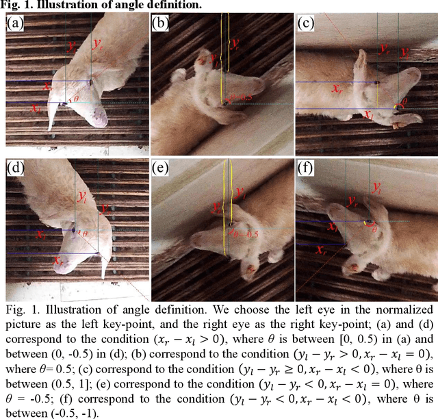 Figure 1 for LAD-RCNN:A Powerful Tool for Livestock Face Detection and Normalization