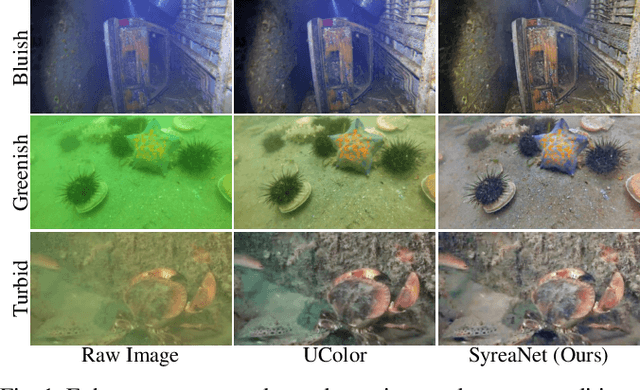 Figure 1 for SyreaNet: A Physically Guided Underwater Image Enhancement Framework Integrating Synthetic and Real Images